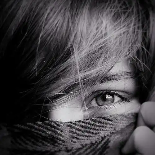 纳兰德行的相册愿你眼里开扇窗心里有点光
