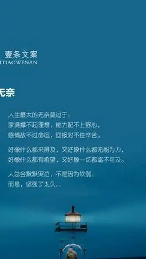 无奈感悟小众文案
