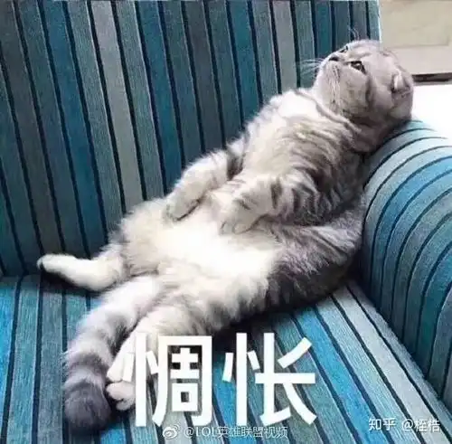 有哪些甜甜的百合之间的故事或者表白时的一些故事
