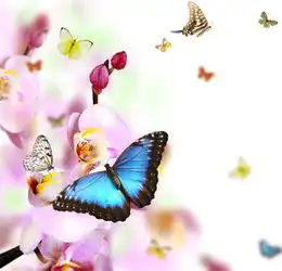 图片免费下载蝴蝶鲜花背景素材蝴蝶鲜花背景模板千图网
