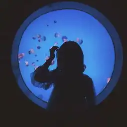 教你如何通过朋友圈猜中他的星座
