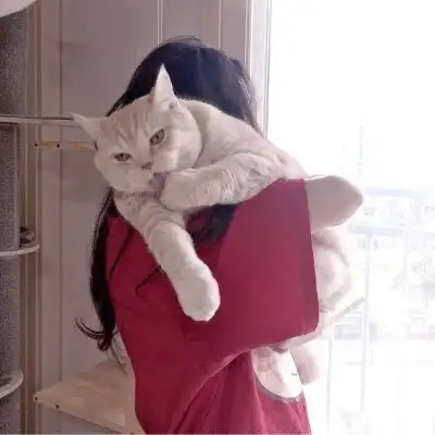 抱猫女头像,抱猫咪的仙气女生头像3
