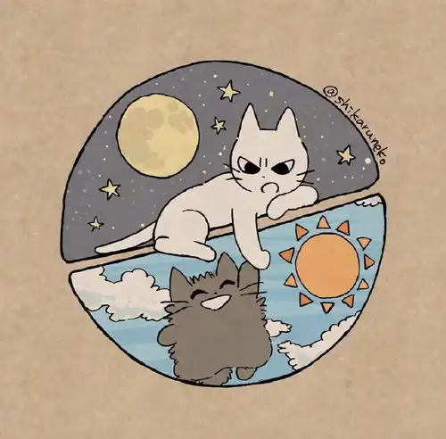 虽然猫耳娘很可爱,但是这位画师大佬画的暴躁猫猫也超萌的
