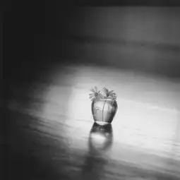 嫁错老公的女人,99都是这样的
