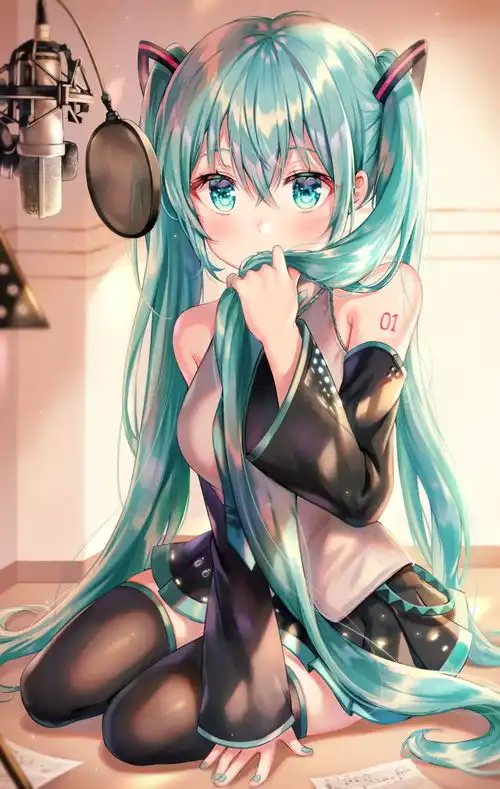 初音未来39张初投稿
