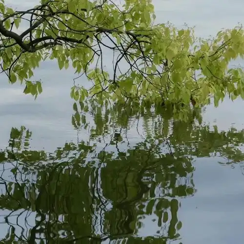 2023治愈个性风景头像
