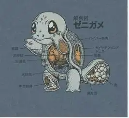 童年的动漫居然这么污我捂着脸偷偷看
