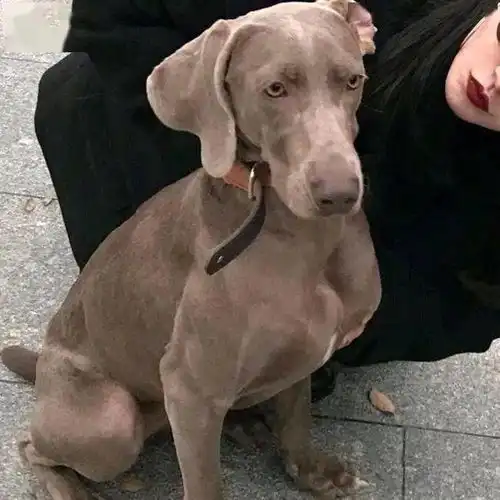 换上情头,你就是我的人了
