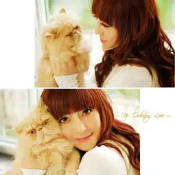 猫样女子的慵懒下午专辑卡麦醒觉
