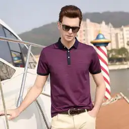 汤河之家2019夏季新款中年男士短袖t恤翻领条纹宽松商务爸爸装
