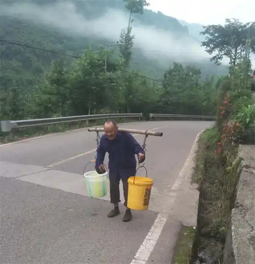 雨城区望鱼镇人大代表齐发力共解群众烦心事
