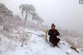二十多岁小伙嵩山修道8年手机新浪网
