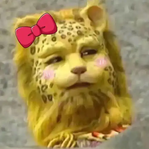 金钱豹头像,一夜之间,火了
