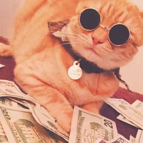 明知道自己渴望却得对它装聋作哑
