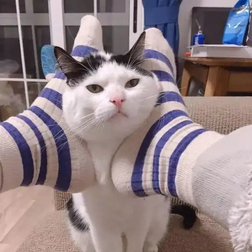 头像想夏天给你撑伞冬天给你温暖
