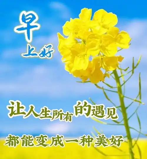 5月10号夏天吉祥快乐问候语加美图
