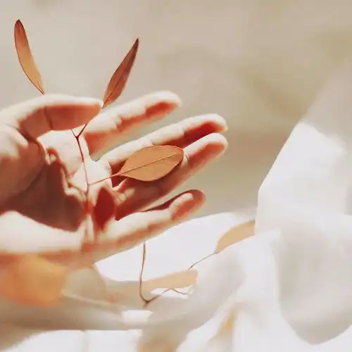 2021最经典十句话,看完受益无穷
