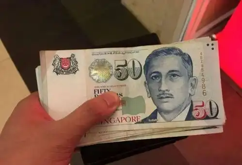 5.4x新元兑人民币汇率飙升至一年新高新加坡总理发话了保持新元强劲,稳定物价
