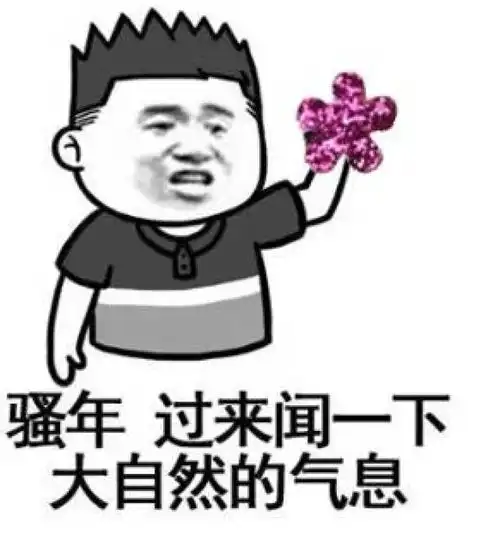 过节要不要给老婆送礼物世界上只有一种人有资格不送

