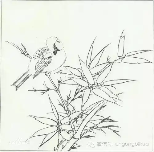 国画白描中的勾线规律

