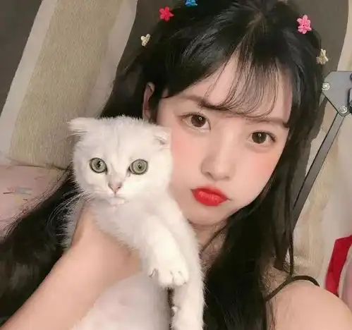 超甜的抱猫咪女生头像
