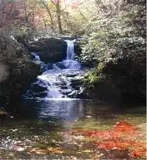 桃花冲东冲河生态农庄两日游
