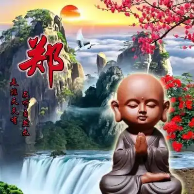 佛系小和尚姓氏微信头像,是非天天有不听自然无
