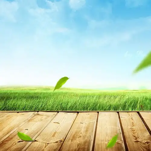 漏斗胸该如何确诊
