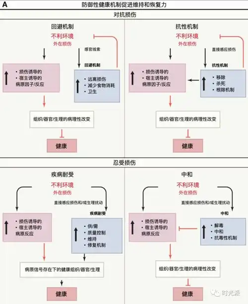 不生病能活100岁cell最新健康不代表长寿
