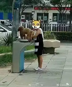 餐厅里,一男一女用公共餐具喂狗狗喝奶茶,网友看了视频都说不能忍
