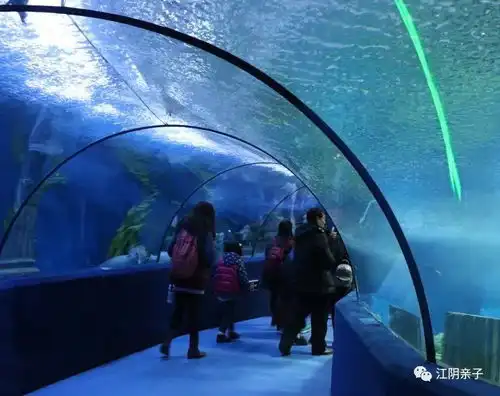 跟爸爸妈妈一起在海底隧道吃西餐搭帐篷与海洋同眠这样的童年你想要吗
