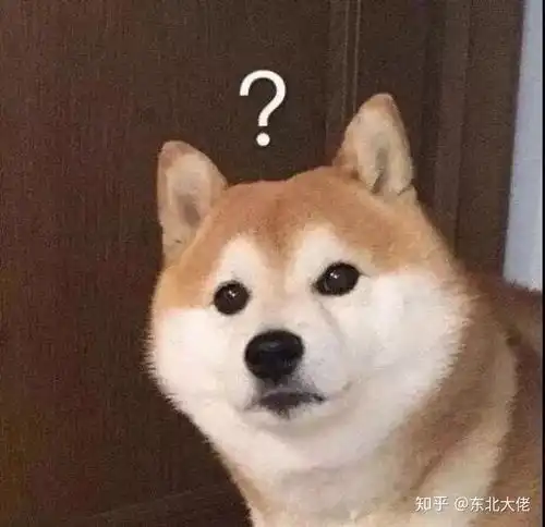 快手网红土味视频代表giao哥结婚,你有什么感受
