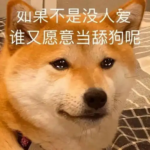 如果你家狗子有这几个特征,说明它真的过得很幸福
