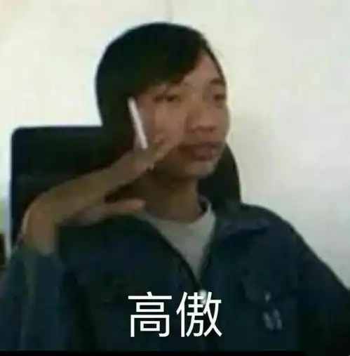 表情包委屈的像个二百斤的孩子
