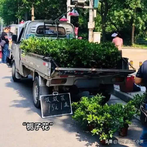 路边摊的标语有多好笑好有意思的老板呀
