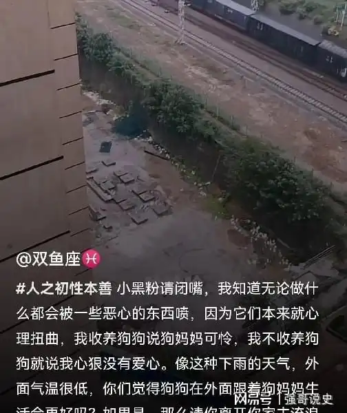 男孩捡到流浪小狗,进门就哭求妈妈养,对话超好笑,结局也超暖
