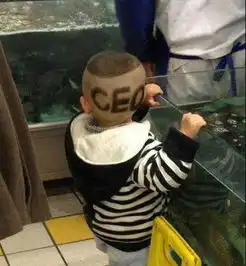 治安官选举竟靠砸钱十斤肉换北大通知书
