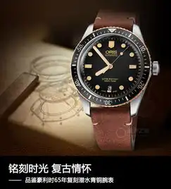 复古情怀,品鉴豪利时65年复刻潜水青铜腕表
