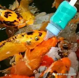 夜宿海洋极地世界鱼我同眠北方小千岛研学两日营
