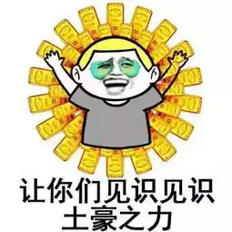 男子借出200多万换来几套豪华别墅最后一查懵了
