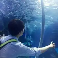 情侣头像不露头蓝色系微信头像图片大全
