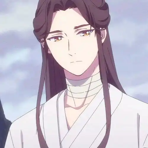 天官赐福谢怜头像动漫头像
