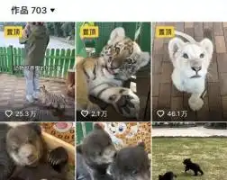 滚动
