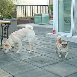 晓月的宝贝计划4
