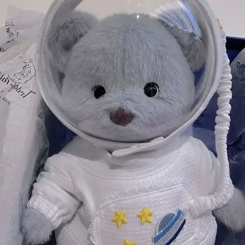 布偶头像苦尽甘来苦会尽甘也会来
