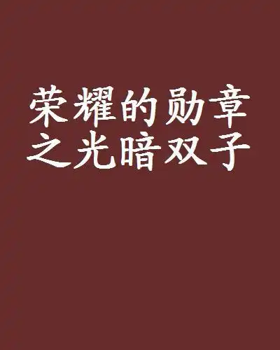 荣耀的勋章之光暗双子
