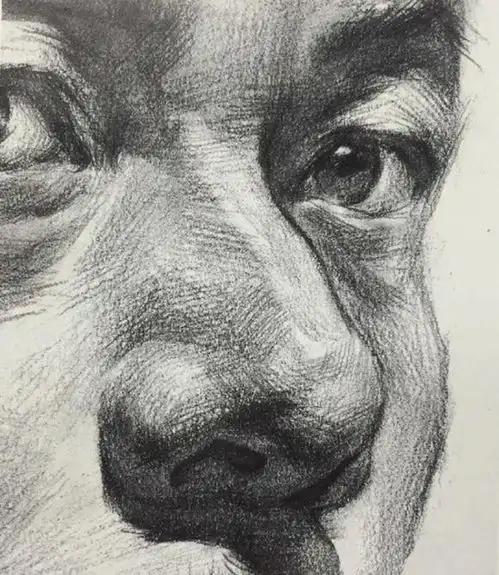 全套合集特写局部素描头像联考高分卷,总有你用的上的
