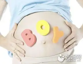 准妈妈吃得好更易怀上男宝宝
