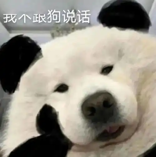每日沙雕表情包
