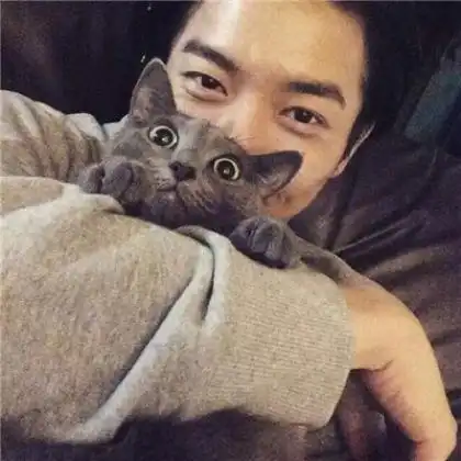 抱着猫的男生帅气头像,今天和抱猫的男头干上劲了
